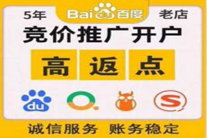 搜索开户返点攻略：案例分析赚钱机会